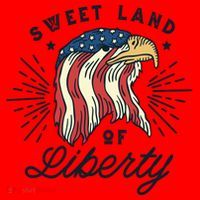 Sweet Land Of Liberty Eagle Santa Hat thumb 1