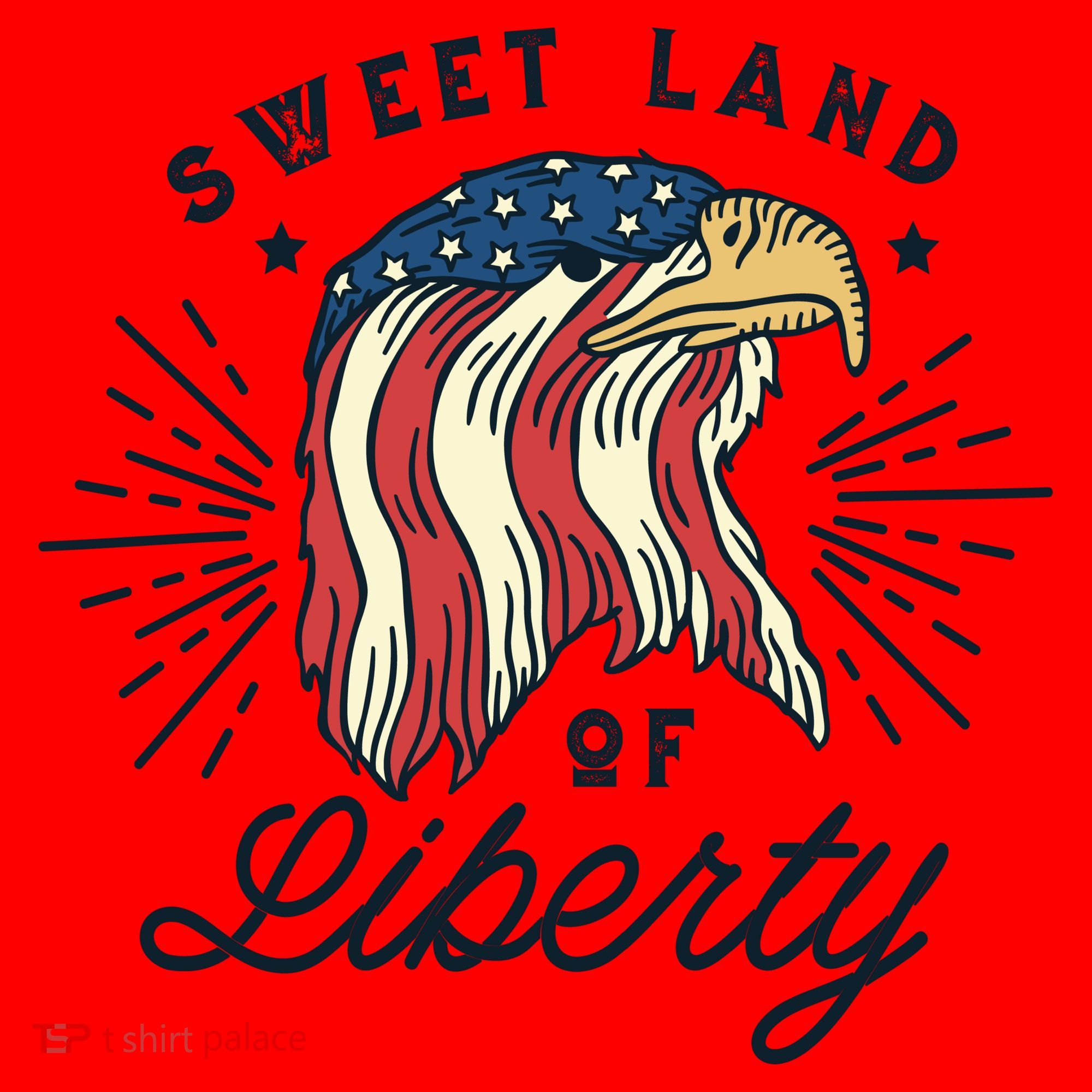 Sweet Land Of Liberty Eagle Santa Hat