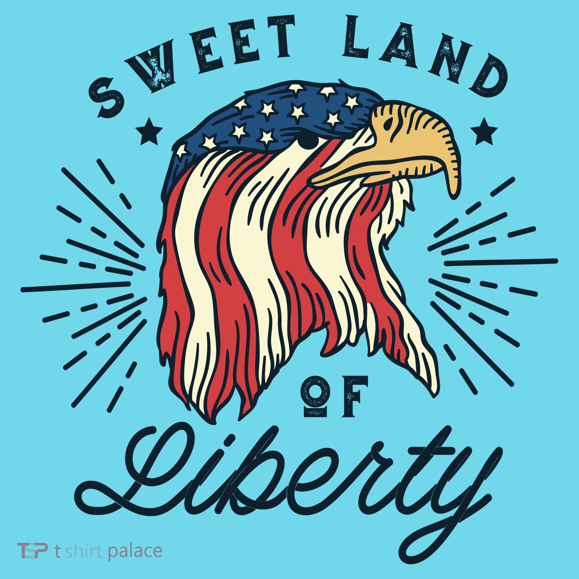 Sweet Land Of Liberty Eagle Kids T-Shirt