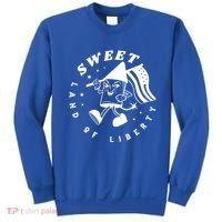 Sweet Land Of Liberty Firework Sweatshirt thumb 0