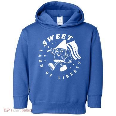 Sweet Land Of Liberty Firework Toddler Hoodie