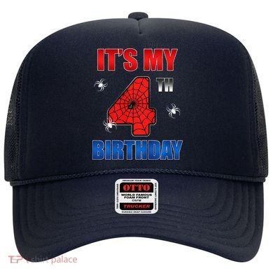 Spider Web Four 4 Years Old ItS My 4th Birthday Boy Party Hat
