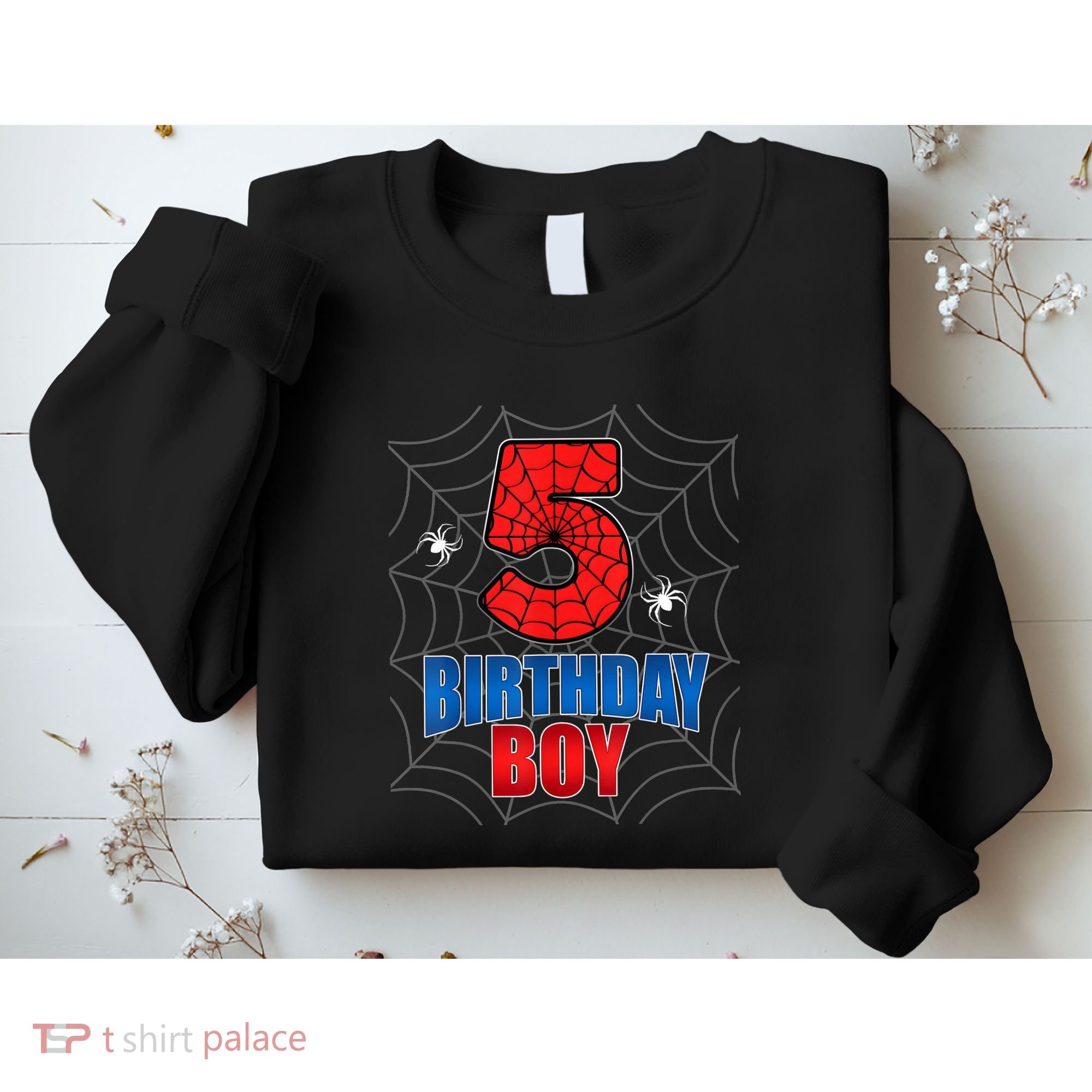 Spider Web Five 5 Years Old 5th Birthday Boy Party Sweatshirt