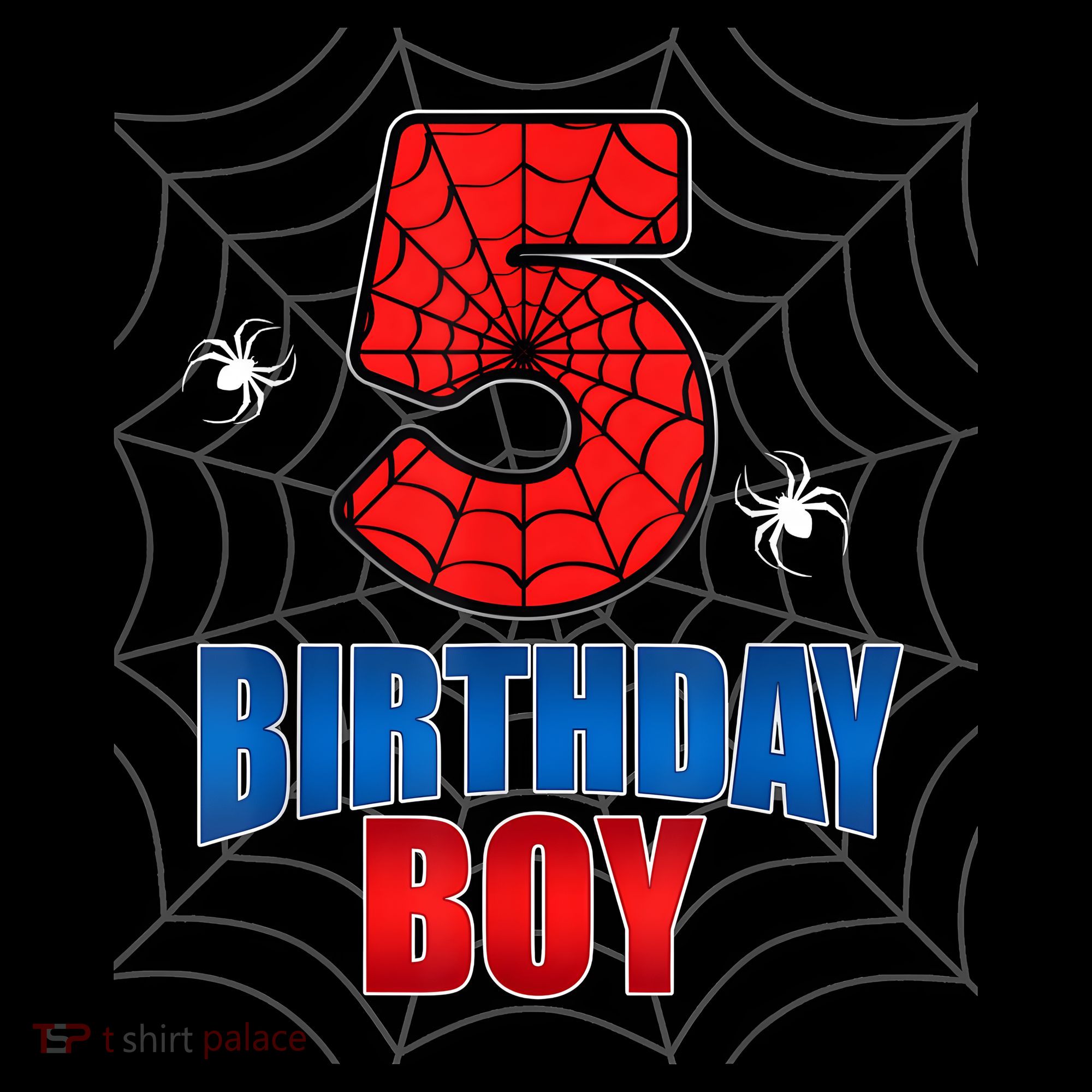 Spider Web Five 5 Years Old 5th Birthday Boy Party Women's T-Shirt