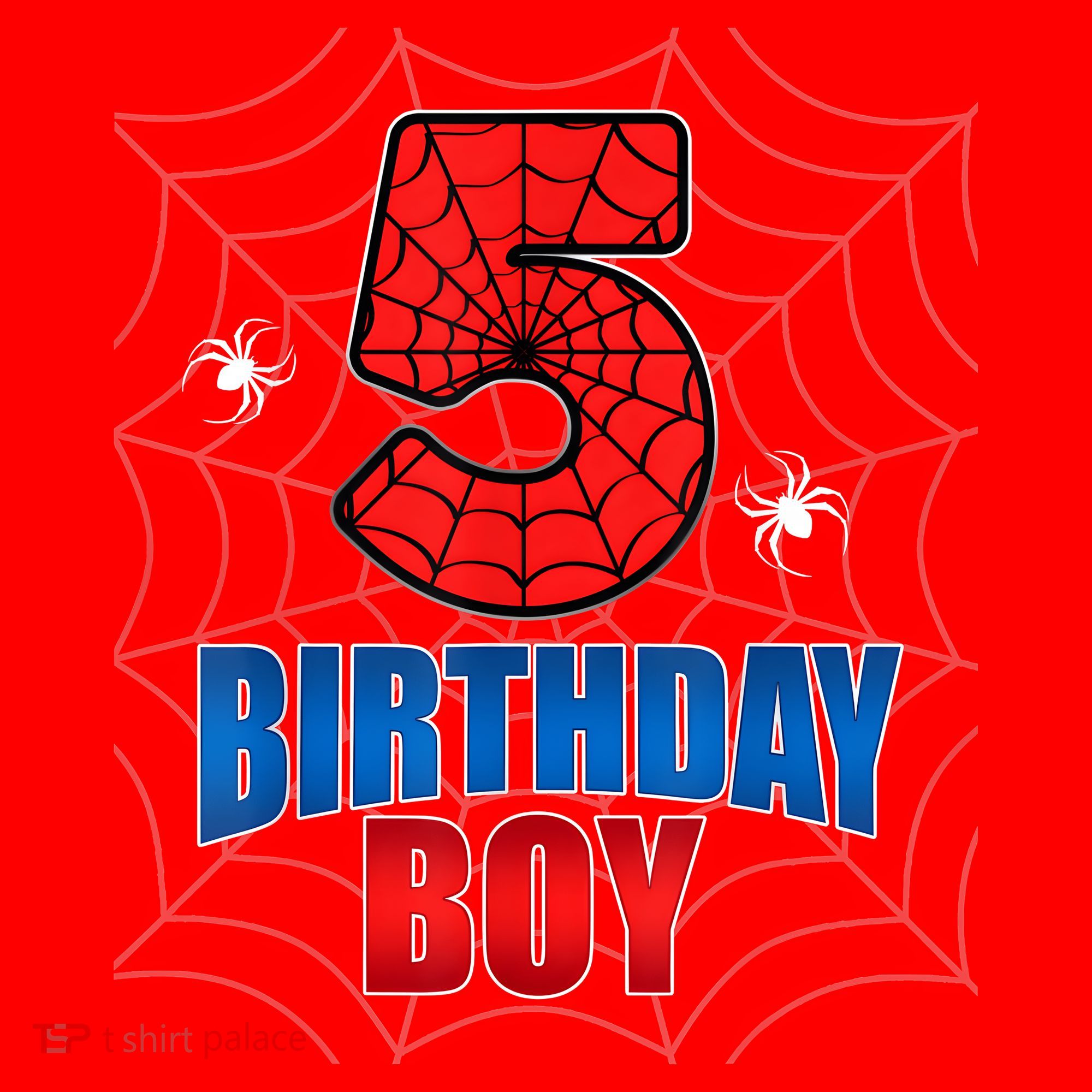 Spider Web Five 5 Years Old 5th Birthday Boy Party Santa Hat
