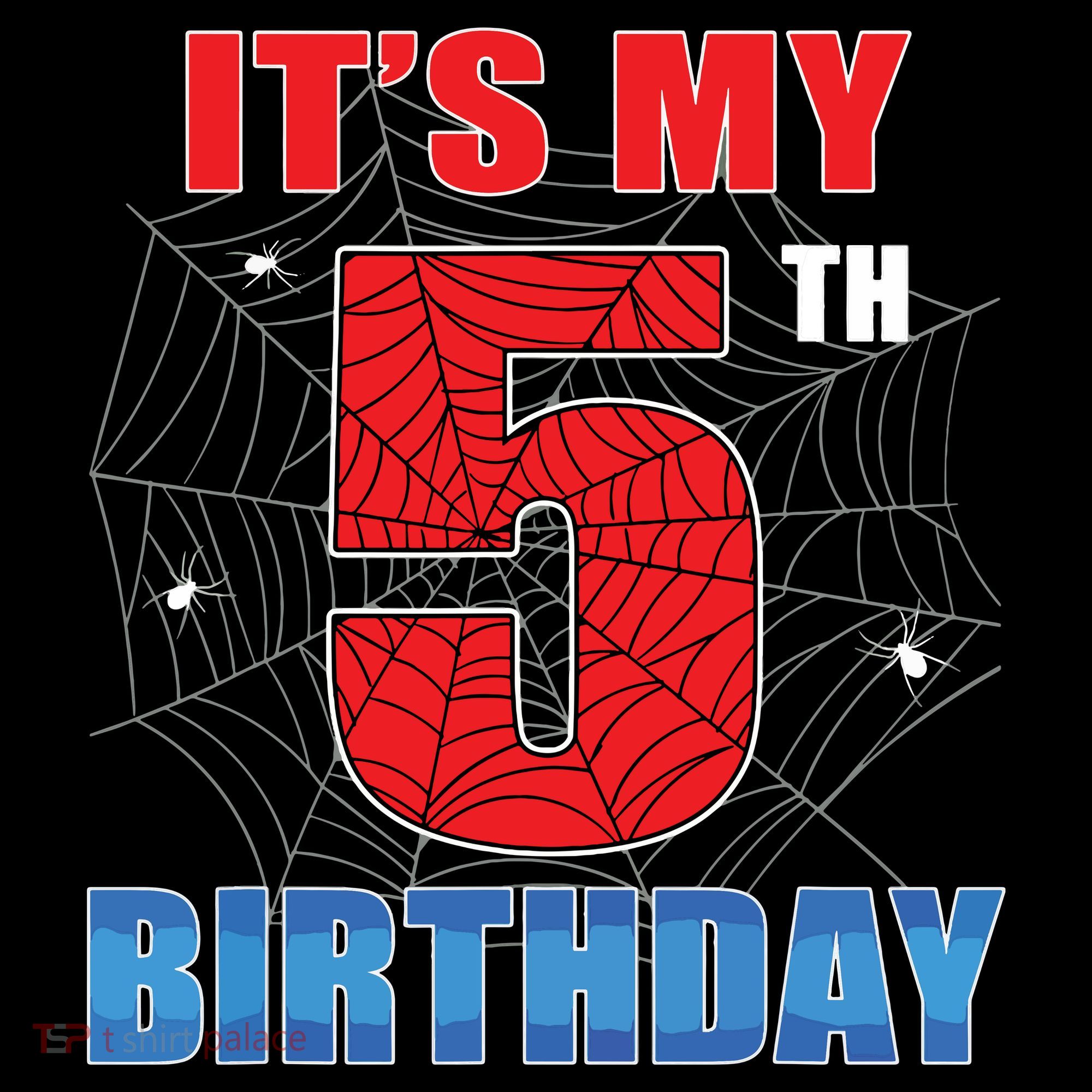 Spider Web Five 5 Years Old Its My 5th Birthday Boy Party Long Sleeve Shirt