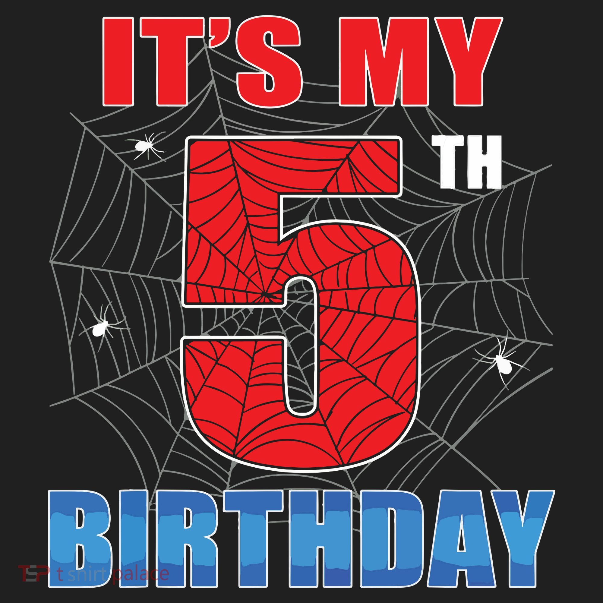 Spider Web Five 5 Years Old Its My 5th Birthday Boy Party Hat