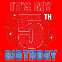 Spider Web Five 5 Years Old Its My 5th Birthday Boy Party Santa Hat thumb 1