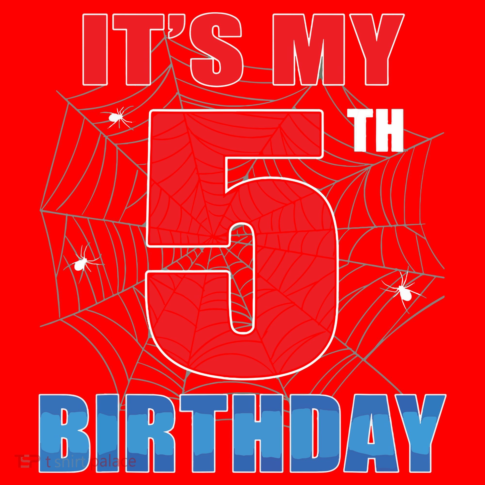 Spider Web Five 5 Years Old Its My 5th Birthday Boy Party Santa Hat