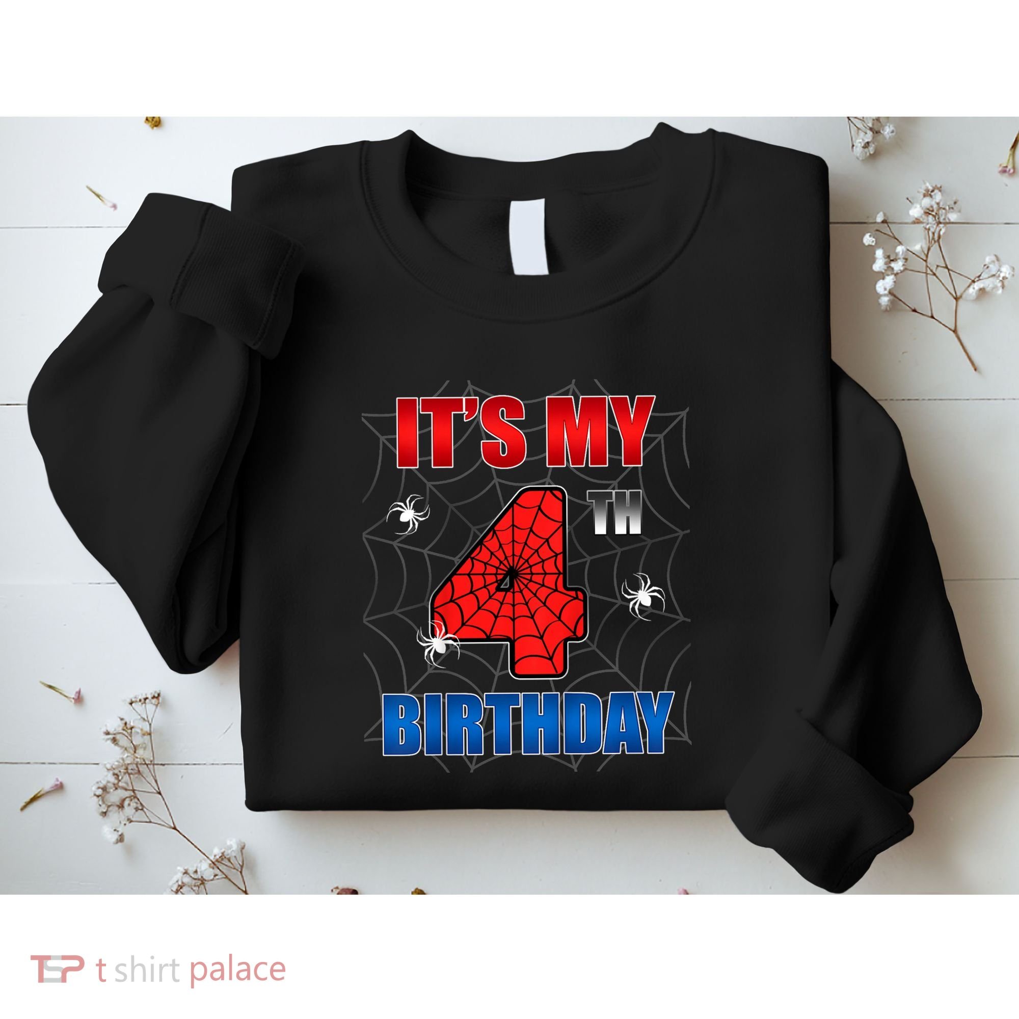 Spider Web Four 4 Years Old ItS My 4th Birthday Boy Party Sweatshirt