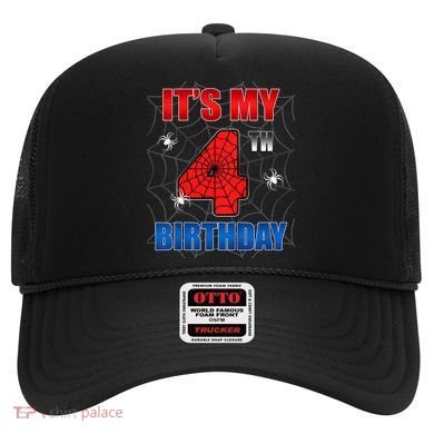 Spider Web Four 4 Years Old ItS My 4th Birthday Boy Party Hat