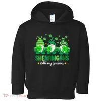 Shenanigans With Gnomies St Patrick Day Toddler Hoodie thumb 0