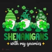 Shenanigans With Gnomies St Patrick Day Toddler Hoodie thumb 2