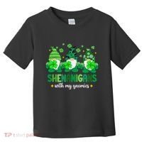 Shenanigans With Gnomies St Patrick Day Toddler T-Shirt thumb 0