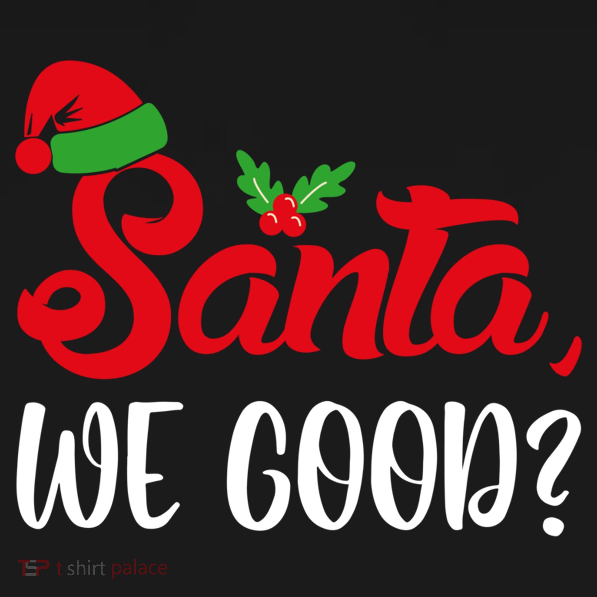 Santa We Good Funny Naughty Or Nice List Christmas Season Cute Gift Women's Hoodie