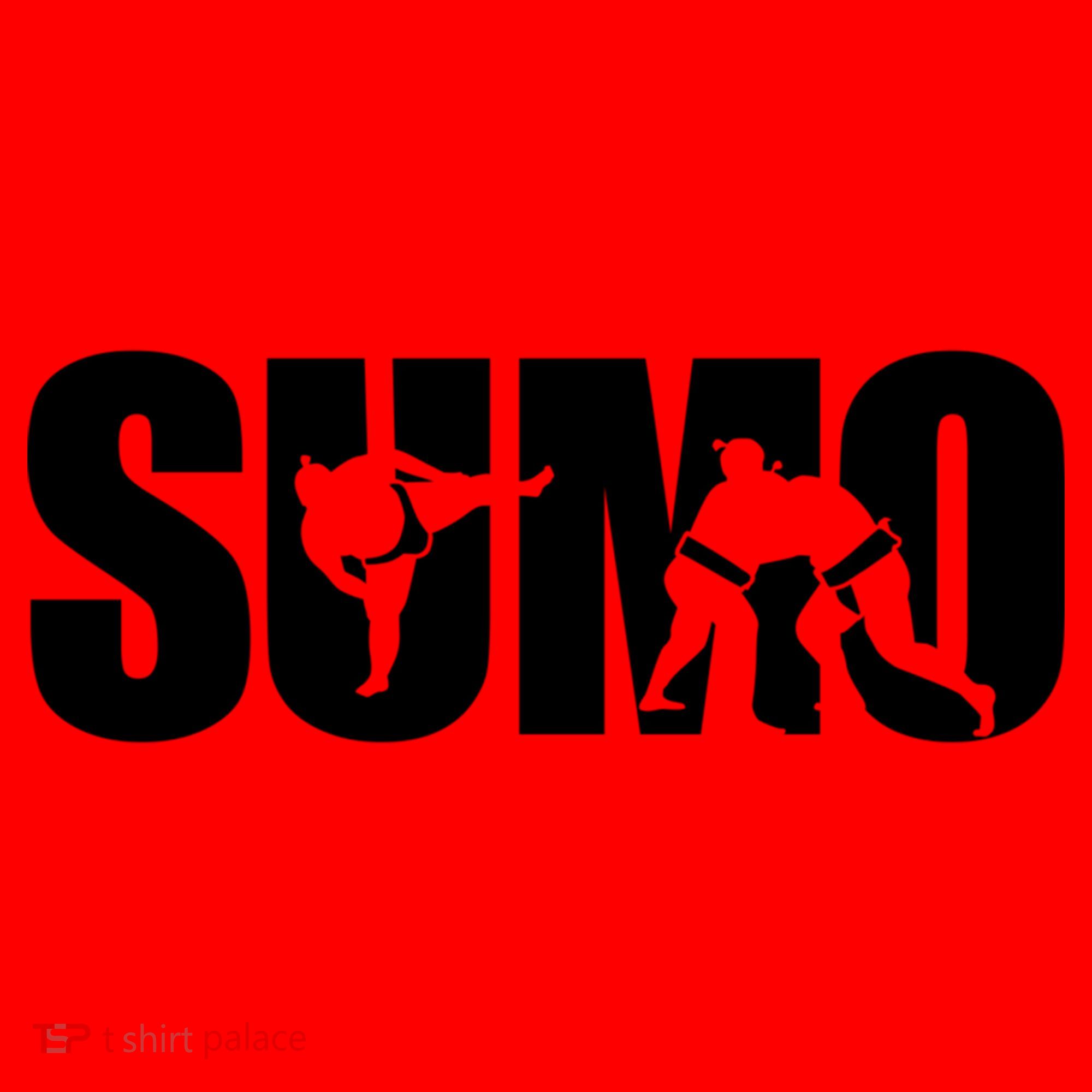 Sumo Wrestling Gift Santa Hat