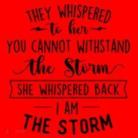 She Whispered I Am The Storm Motivational Quote Inspiration Gift Santa Hat thumb 1