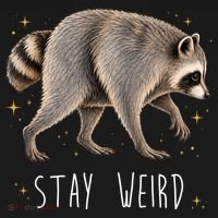 Stay Weird Jimothy The Raccoon Viral Funny Coaster thumb 2