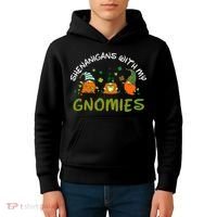 Shenanigans With My Gnomies St Patrick's Day Gnome Shamrock Kids Hoodie thumb 4