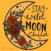 Stay Wild Moon Child Pom Pom 12in Knit Beanie thumb 2