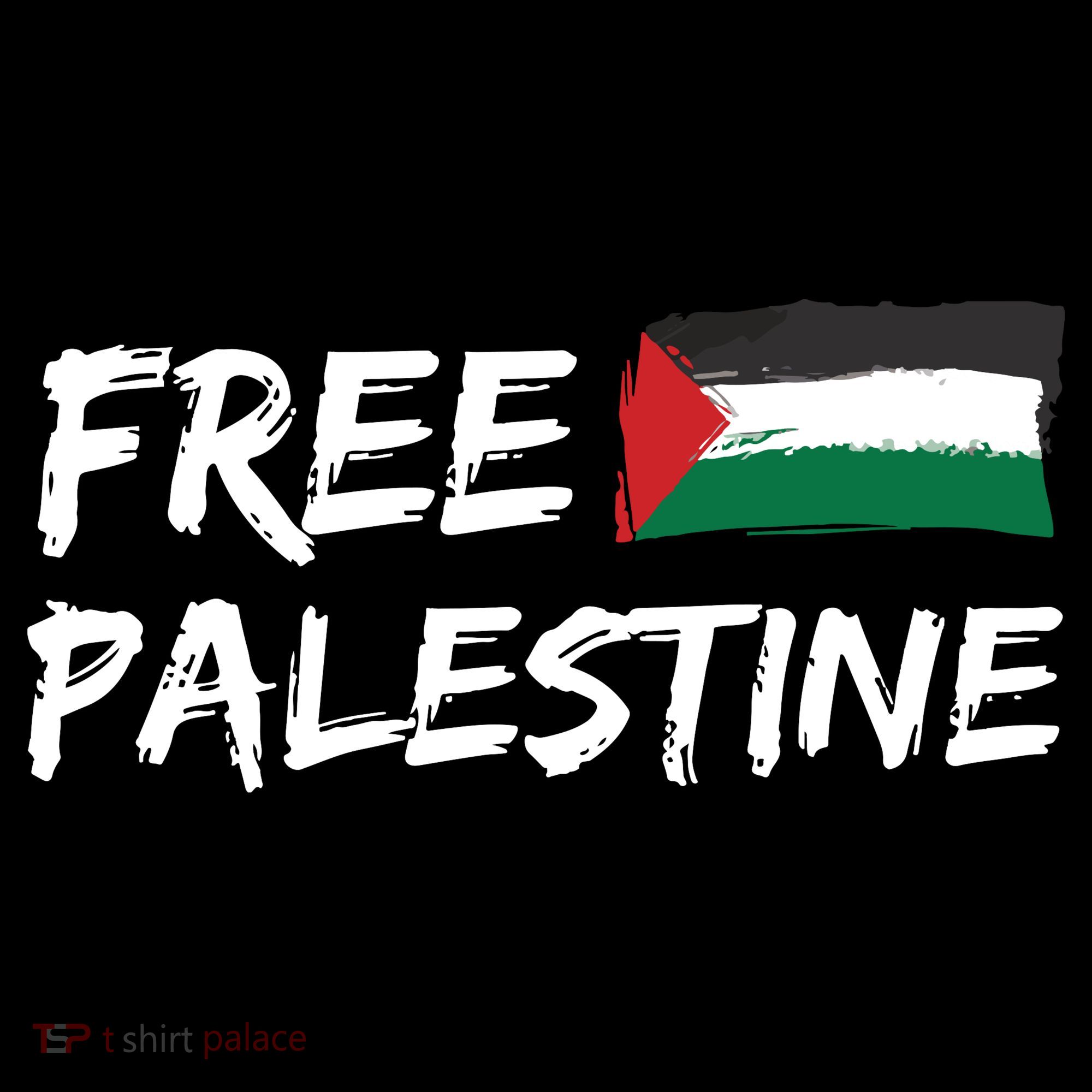 Stand With Palestine Free Palestine Women's Hoodie