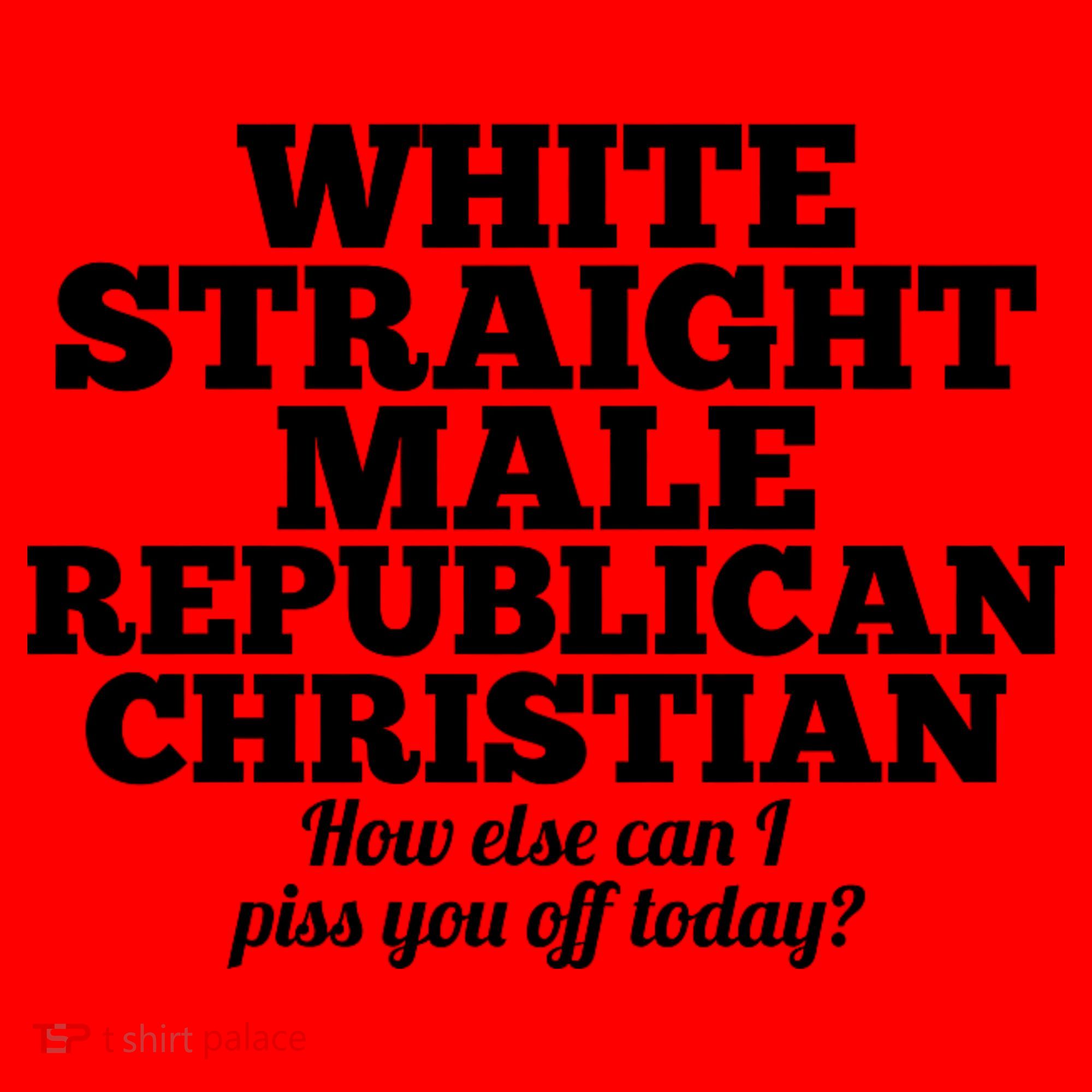 Sarcastic White Straight Male Republican Christian Santa Hat