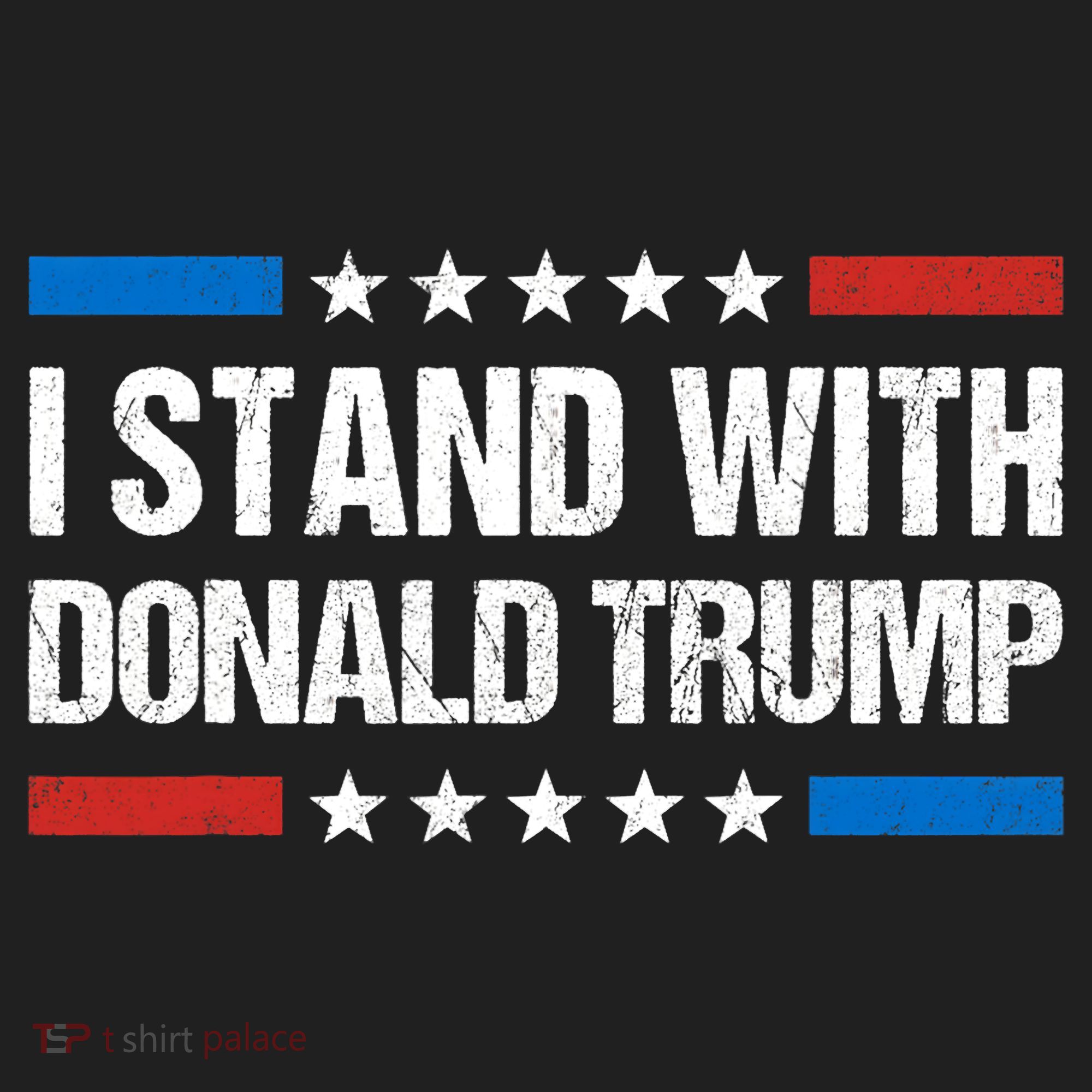 Stand With Trump Support Our President Donald Trump, Trump Indicted Hat