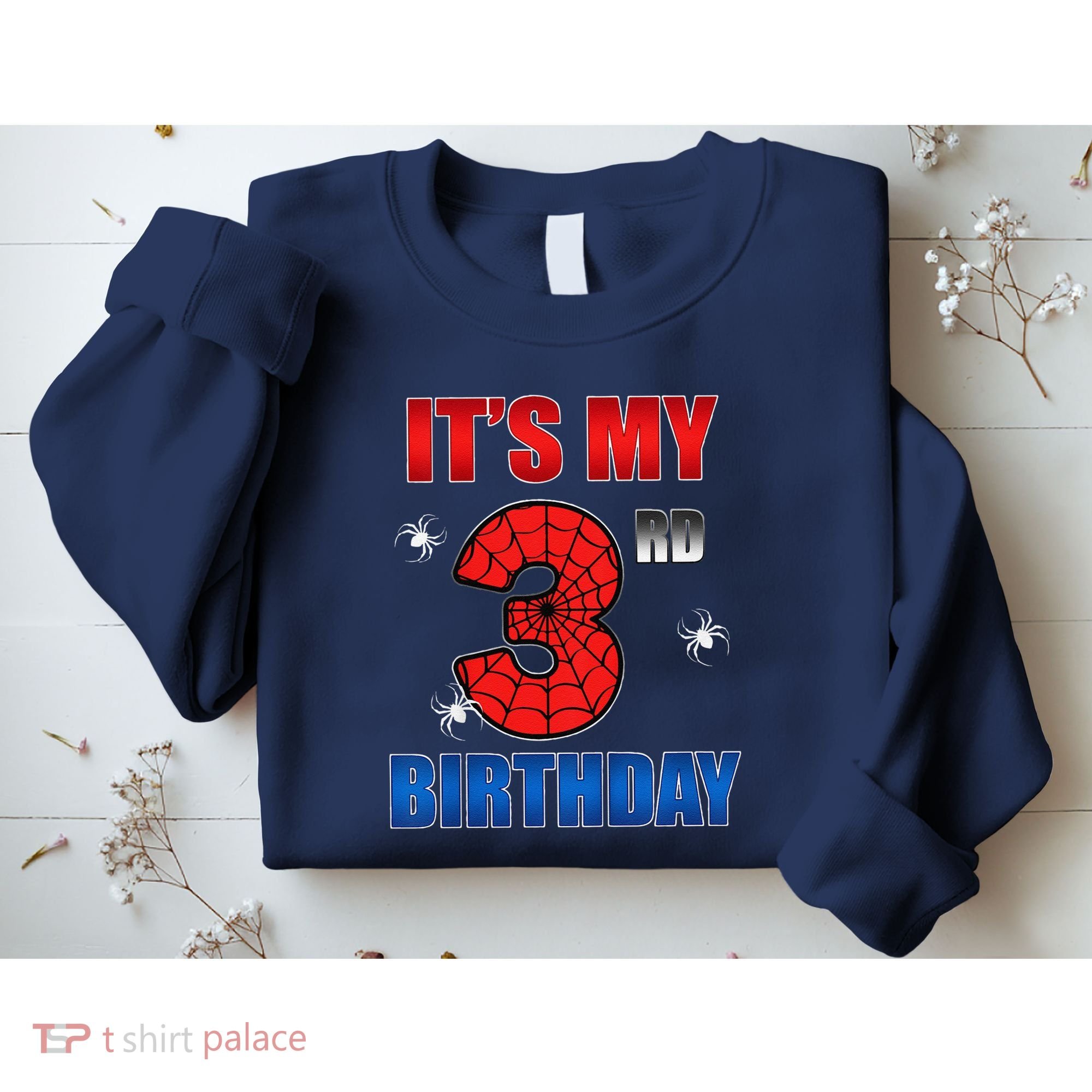 Spider Web Three 3 Years Old ItS My 3rd Birthday Boy Party Sweatshirt