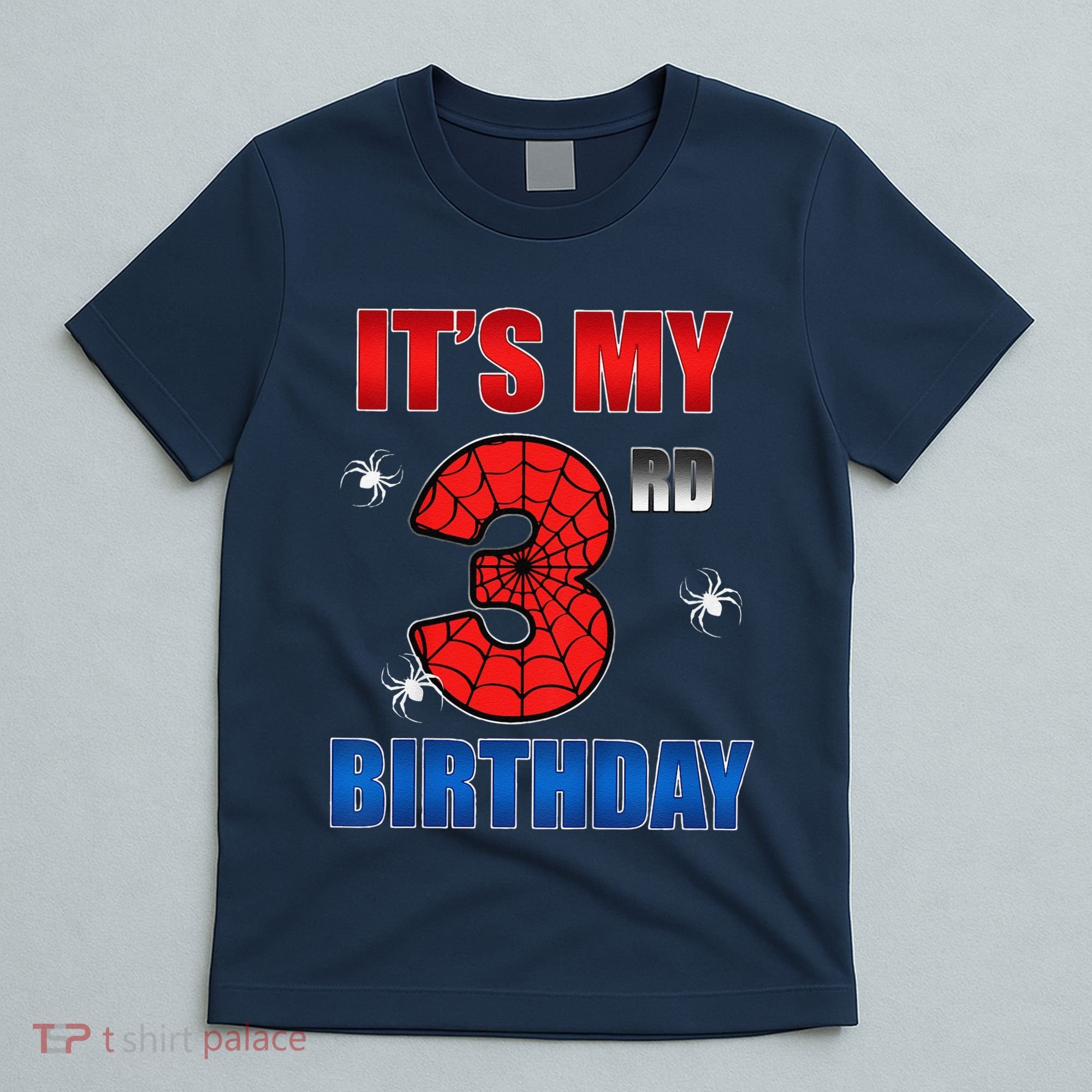 Spider Web Three 3 Years Old ItS My 3rd Birthday Boy Party T-Shirt