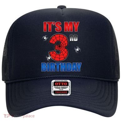 Spider Web Three 3 Years Old ItS My 3rd Birthday Boy Party Hat