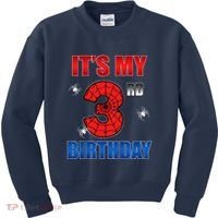 Spider Web Three 3 Years Old ItS My 3rd Birthday Boy Party Kids Sweatshirt thumb 0