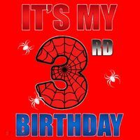 Spider Web Three 3 Years Old ItS My 3rd Birthday Boy Party Santa Hat thumb 1