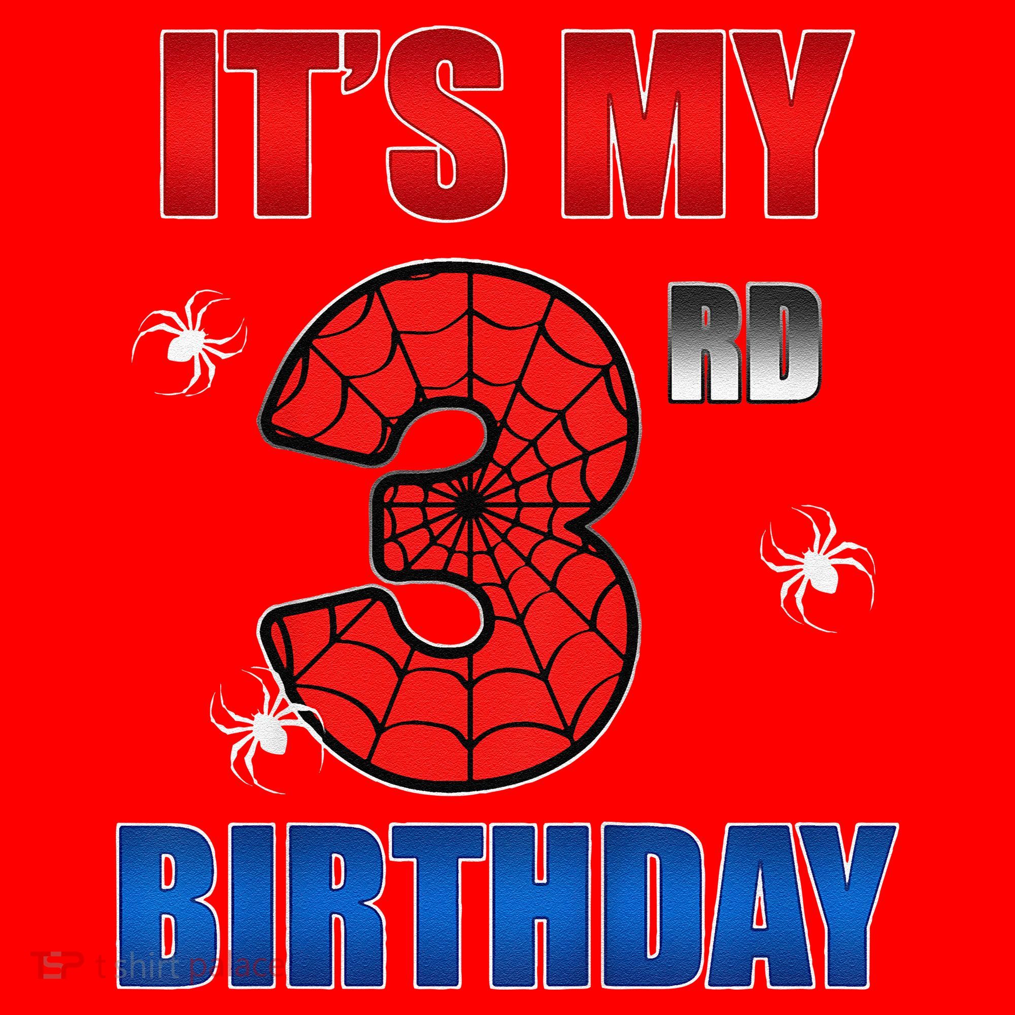 Spider Web Three 3 Years Old ItS My 3rd Birthday Boy Party Santa Hat