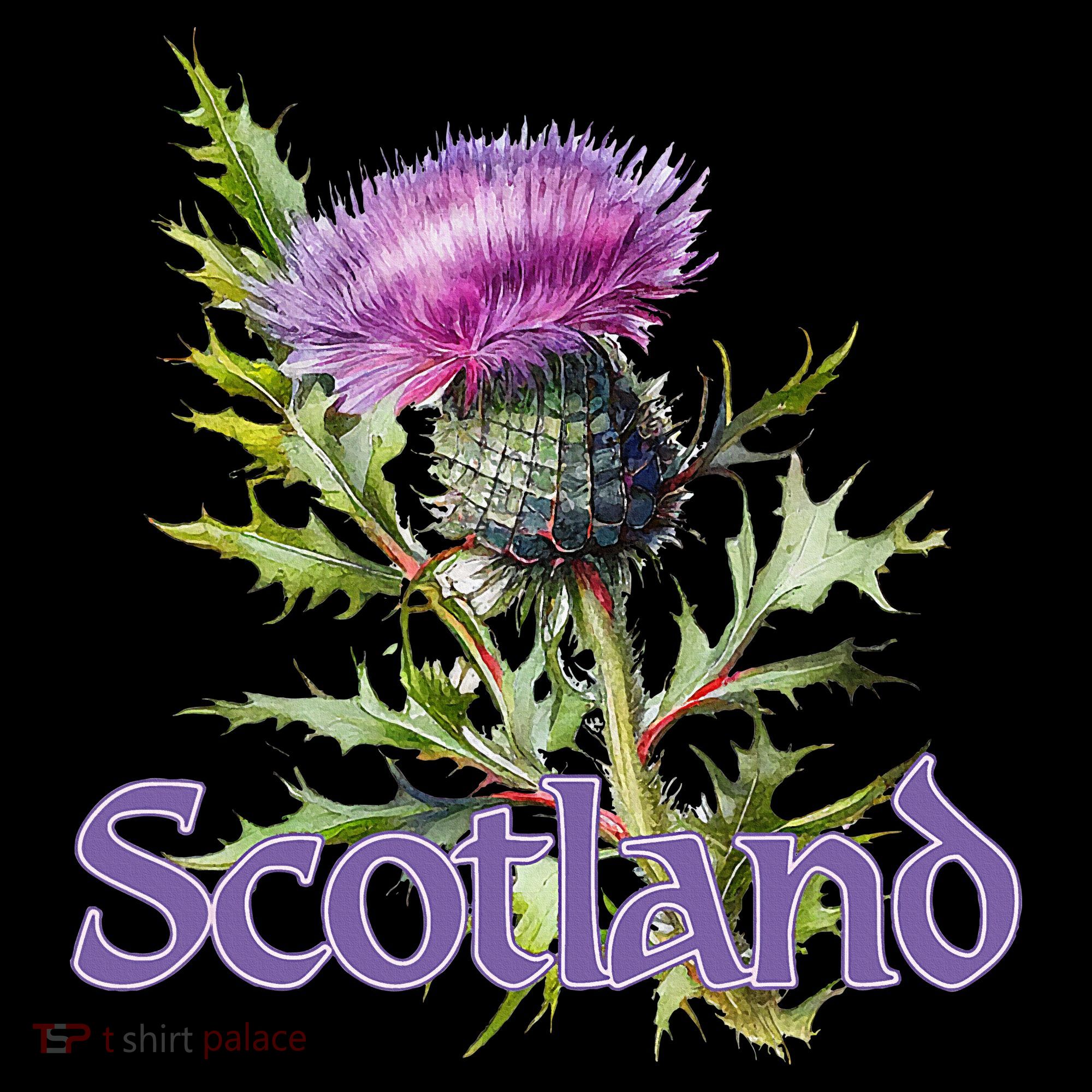 Scotland Watercolor Thistle T-Shirt