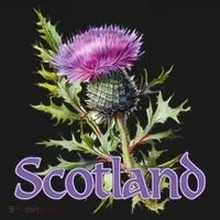 Scotland Watercolor Thistle Women's T-Shirt thumb 6