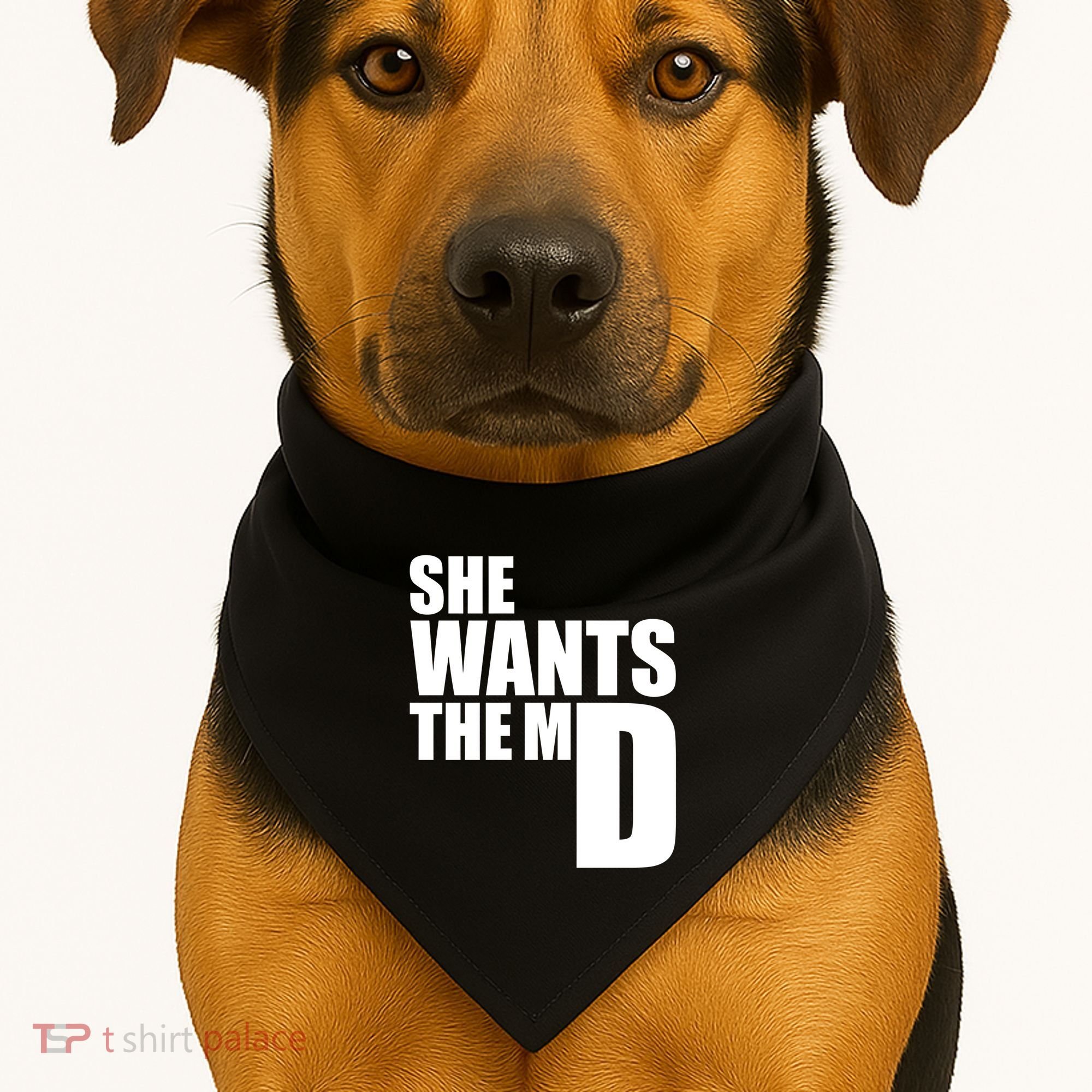She Wants The Md Great Gift Funny Medical Doctor Student Great Gift USA-Made Doggie Bandana