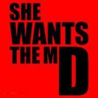 She Wants The Md Great Gift Funny Medical Doctor Student Great Gift Santa Hat thumb 1