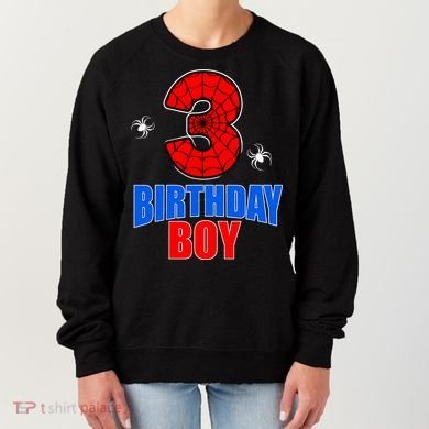 Spider Web Three 3 Years Old 3rd Birthday Boy Party Women's Sweatshirt