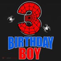 Spider Web Three 3 Years Old 3rd Birthday Boy Party Hoodie thumb 2