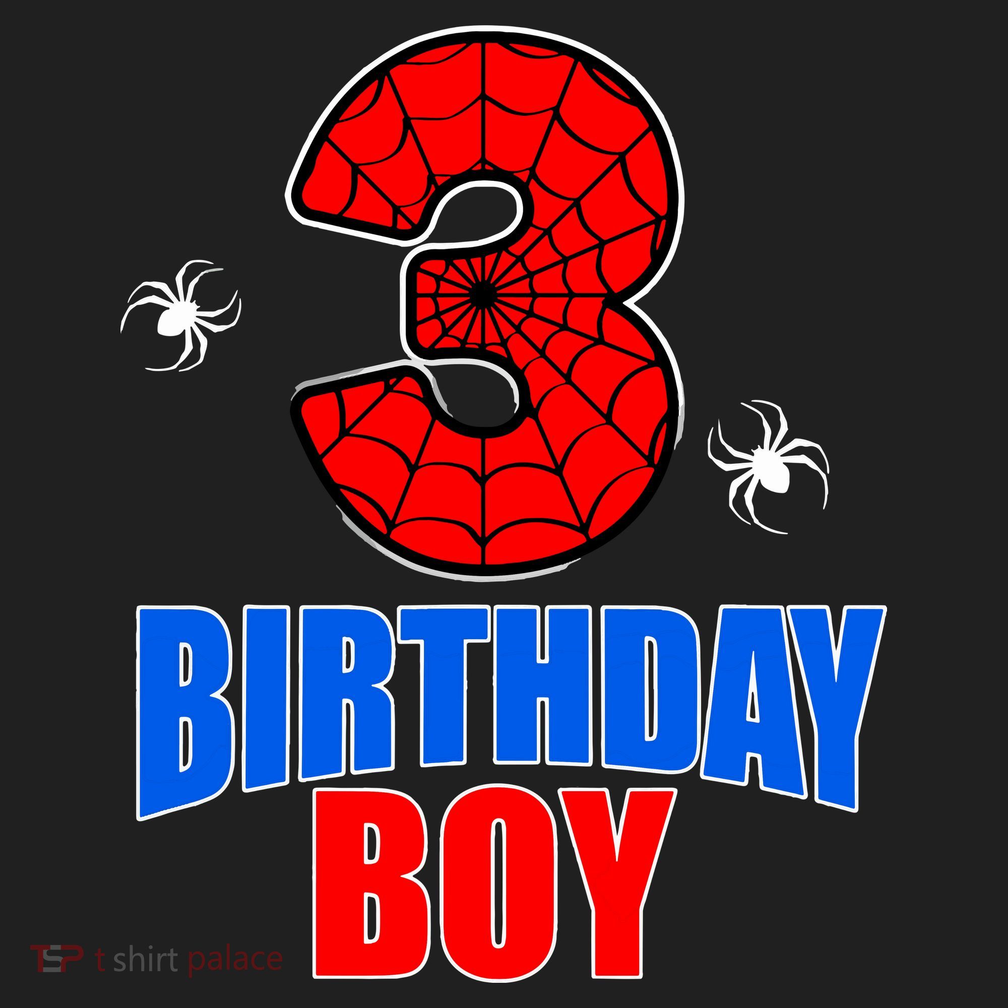 Spider Web Three 3 Years Old 3rd Birthday Boy Party Tumbler