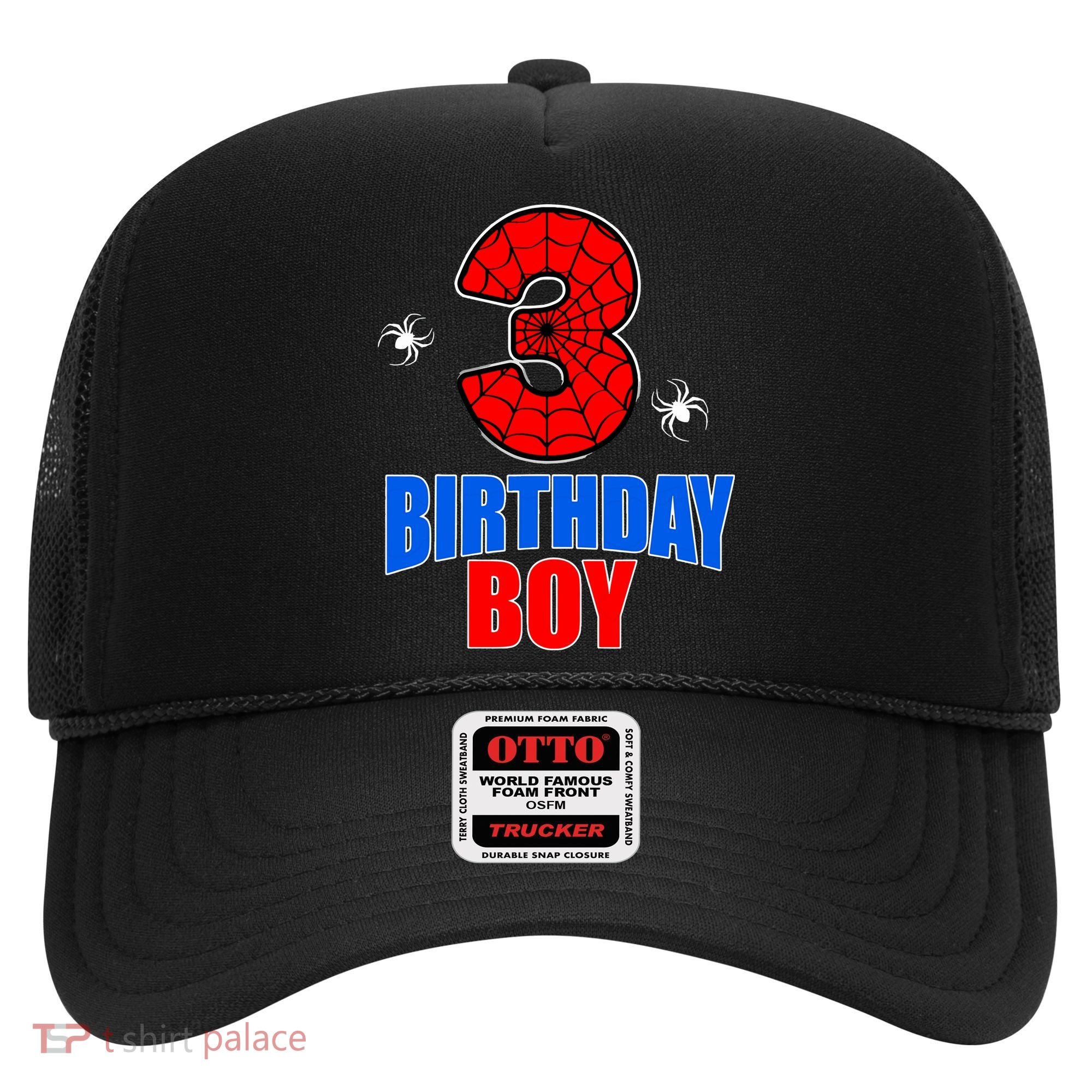 Spider Web Three 3 Years Old 3rd Birthday Boy Party Hat