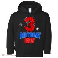 Spider Web Three 3 Years Old 3rd Birthday Boy Party Toddler Hoodie thumb 0