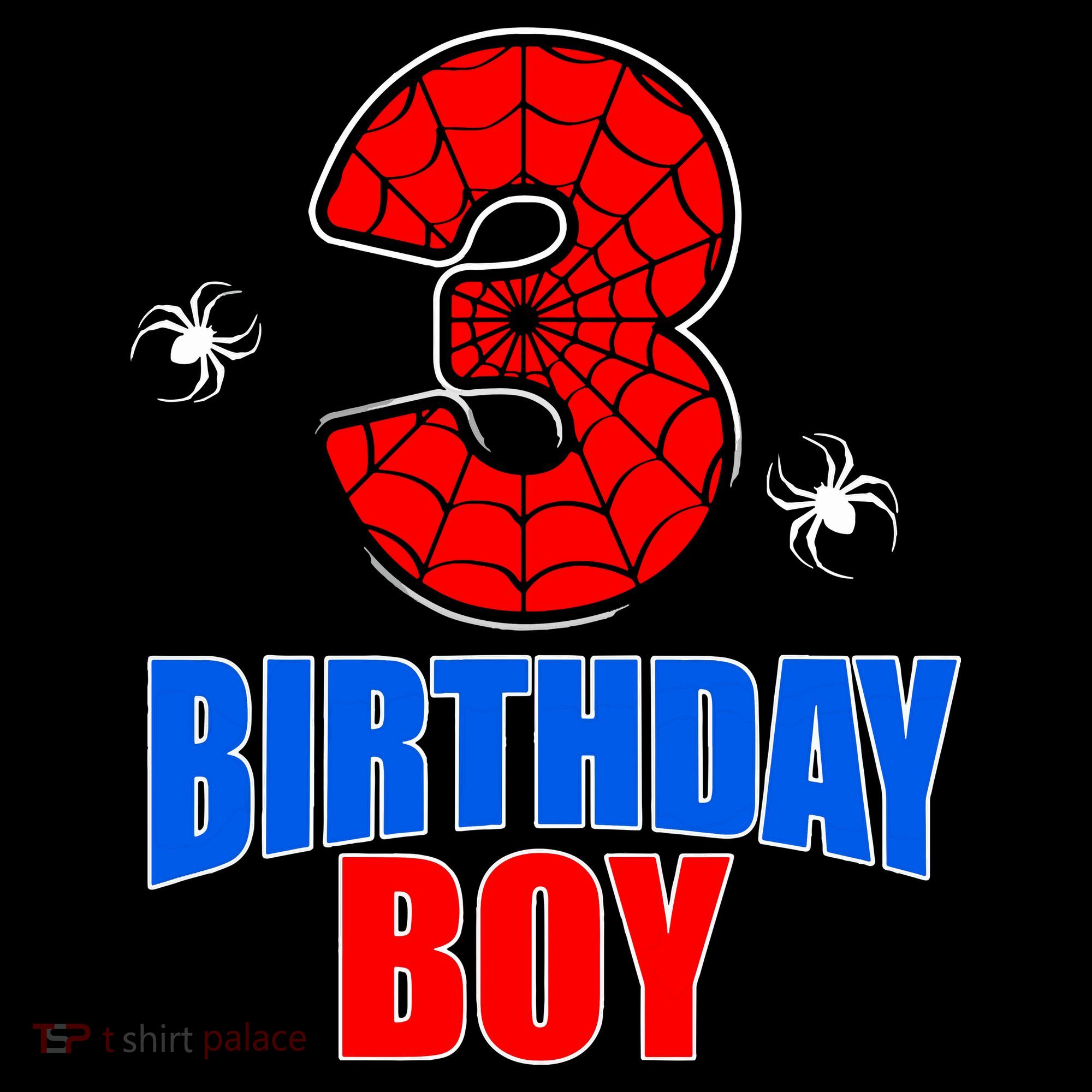 Spider Web Three 3 Years Old 3rd Birthday Boy Party Toddler T-Shirt