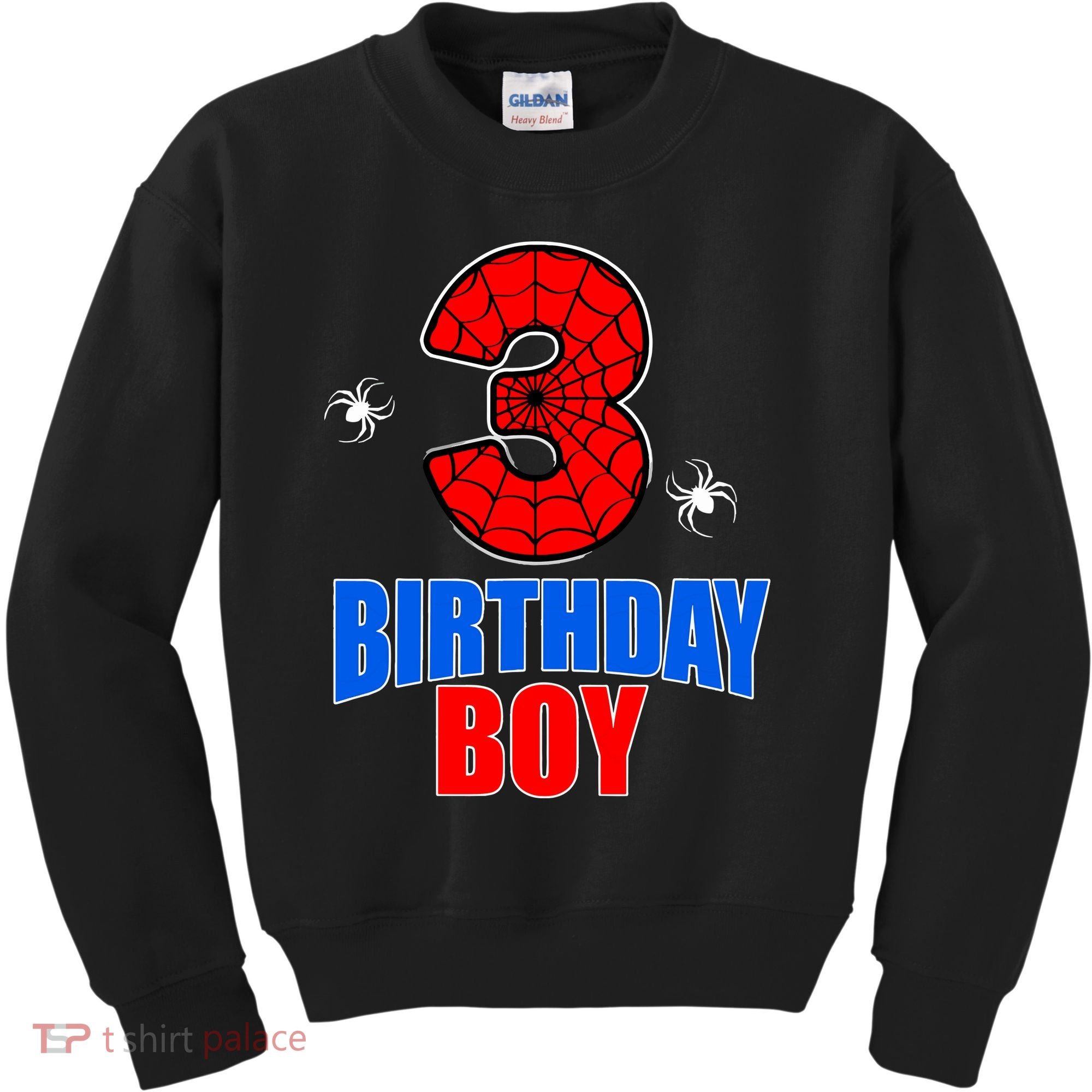 Spider Web Three 3 Years Old 3rd Birthday Boy Party Kids Sweatshirt
