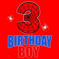 Spider Web Three 3 Years Old 3rd Birthday Boy Party Santa Hat thumb 1