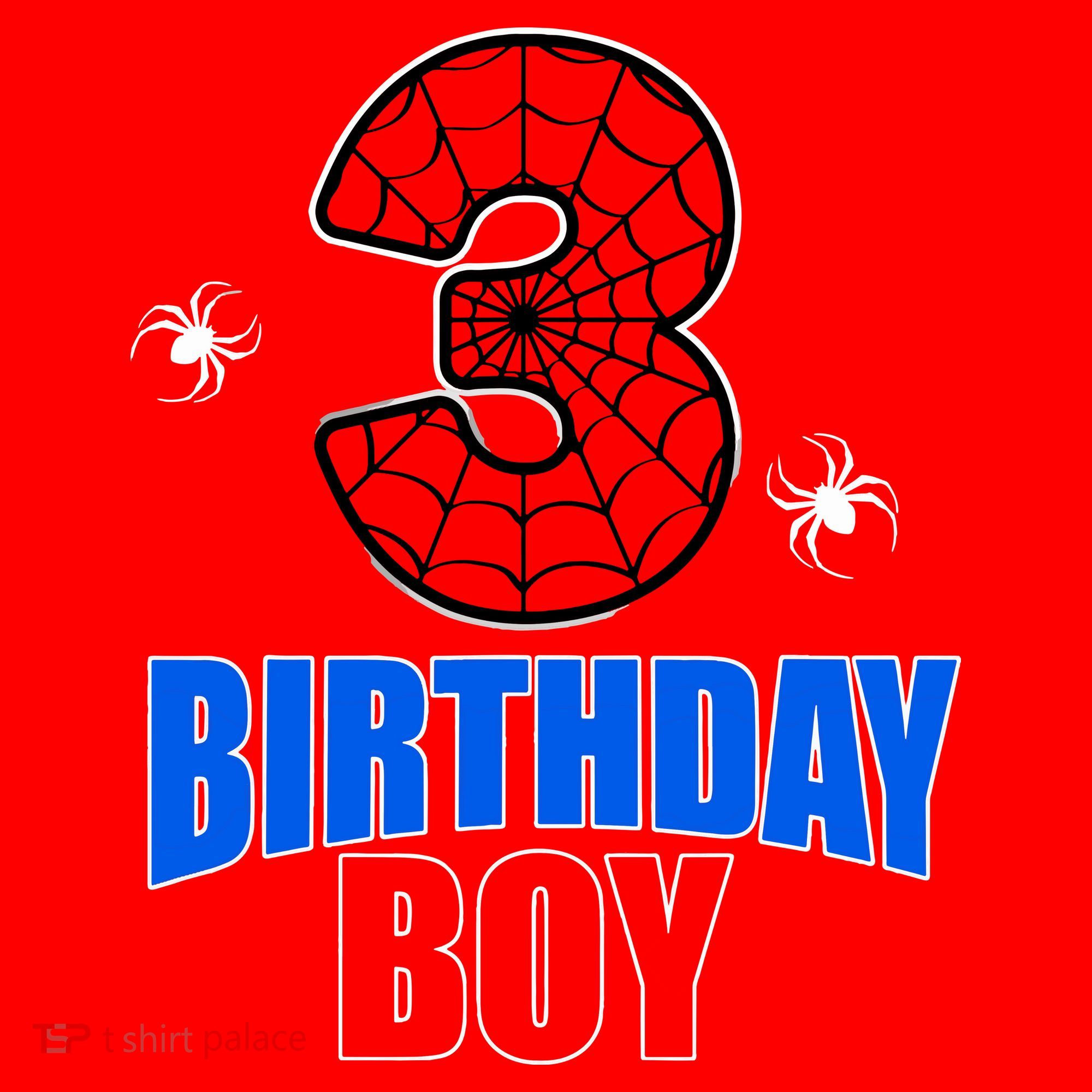 Spider Web Three 3 Years Old 3rd Birthday Boy Party Santa Hat