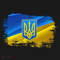 Stand With Ukraine Distressed Coat Of Arms Crest Flag Women's Hoodie thumb 2