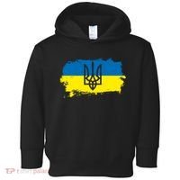 Stand With Ukraine Painted Distressed Ukrainian Flag Symbol Toddler Hoodie thumb 0