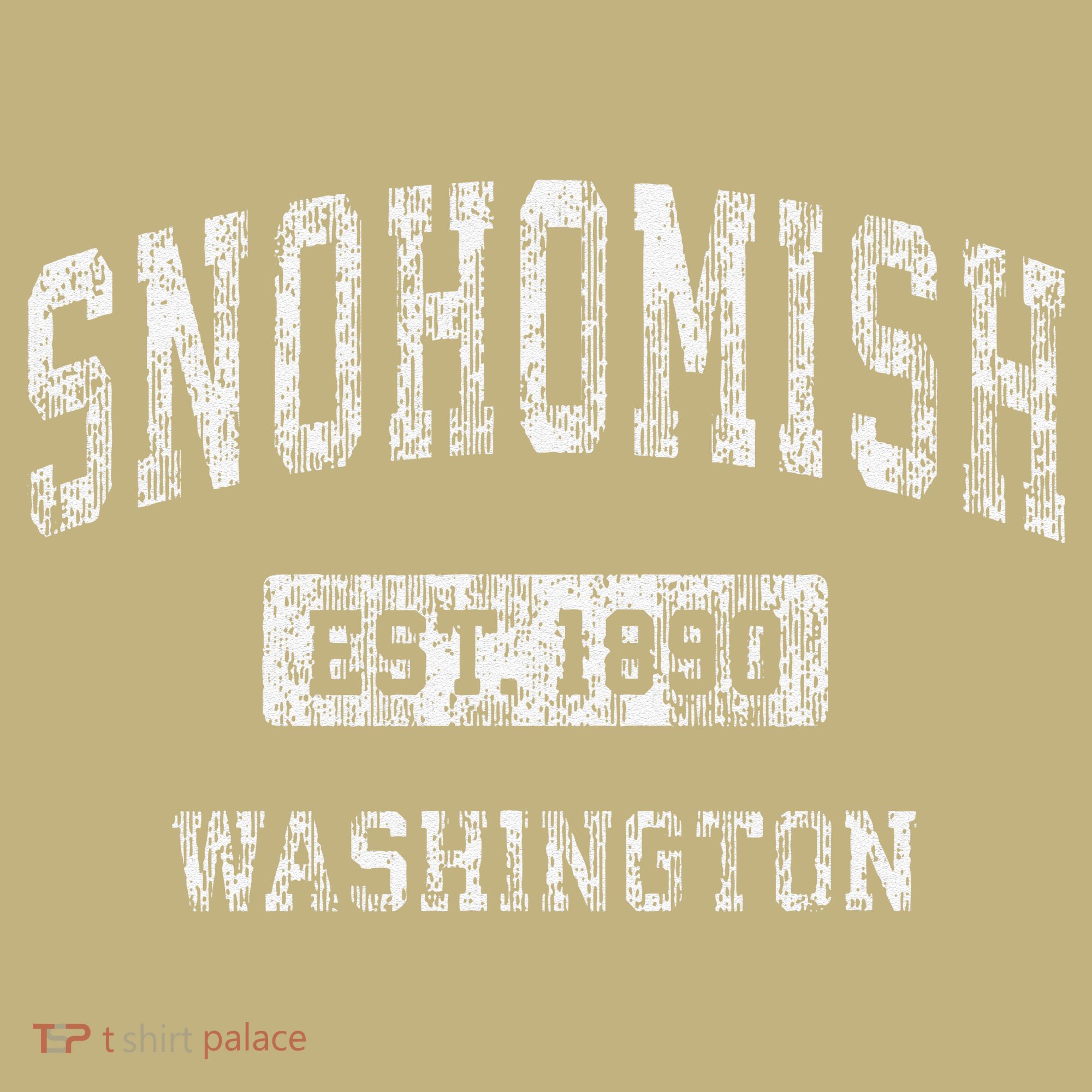 Snohomish Washington Wa Vintage Established T-Shirt