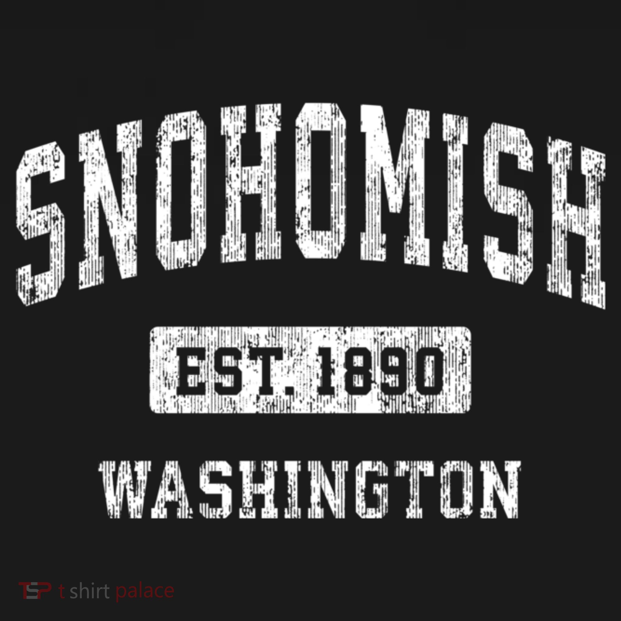 Snohomish Washington Wa Vintage Sports Established T-Shirt